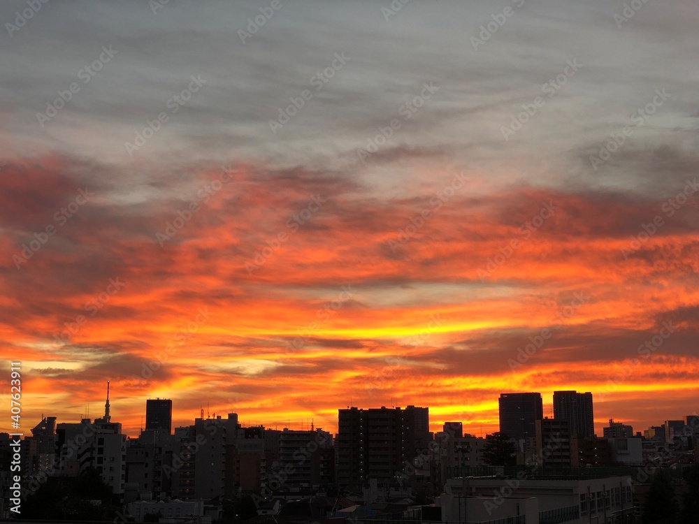 Sunset over Tokyo, Urban Design., Japan