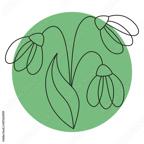 Snowdrop flowers icon on color backgrond. Simple line doodle Snowdrops icon. Vector illustration in editable line.