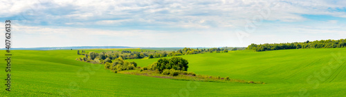 Panorama of green field with trees in the middle of the field and cloudy sky, summer rural view
