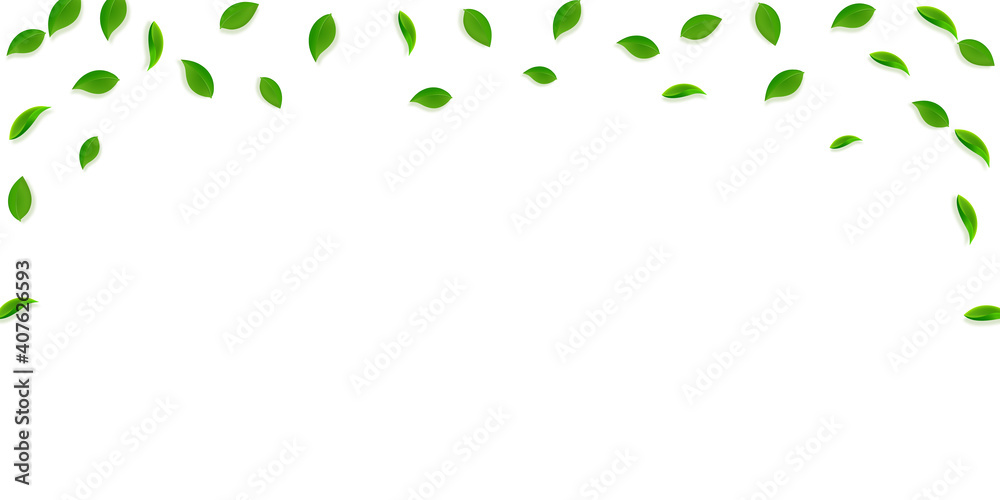 Falling green leaves. Fresh tea random leaves flying. Spring foliage dancing on yellow green background. Amusing summer overlay template. Decent spring sale vector illustration.