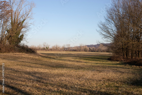 An empty field with hills, shrubs and trees in the background in a sunny winter day