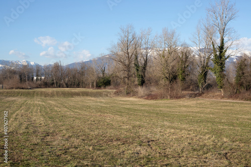 An empty field with snowy mountains and trees in the background in a sunny winter day