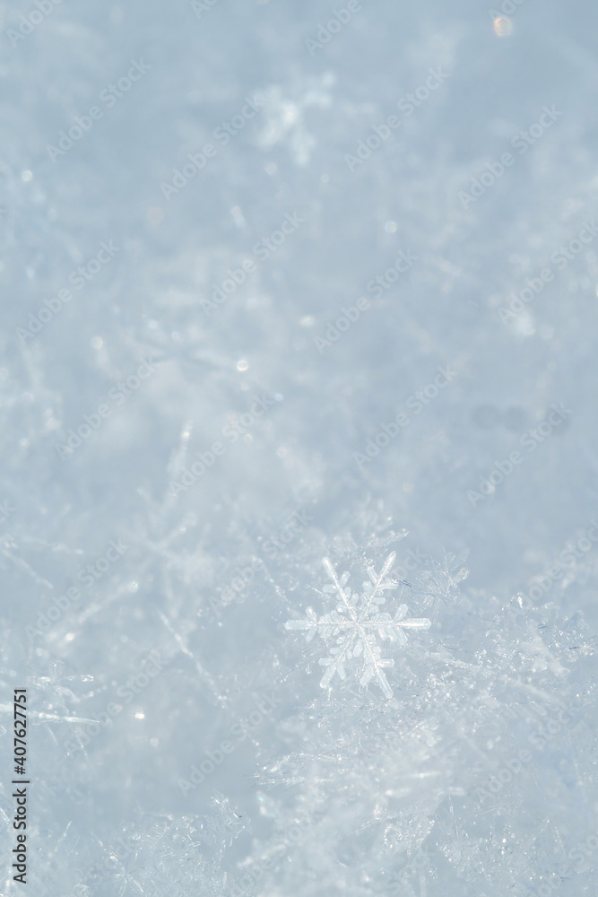 Fototapeta premium Detail of snowflakes in winter.