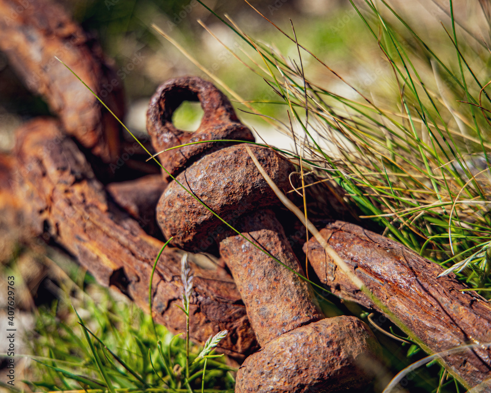 Rusty Chains in the summer grass