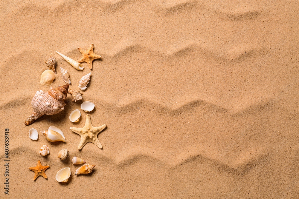 Beautiful seashells and starfishes on beach sand, flat lay with space for text. Summer vacation Beautiful seashells and starfishes on beach sand, flat lay with space for text. Summer vacation