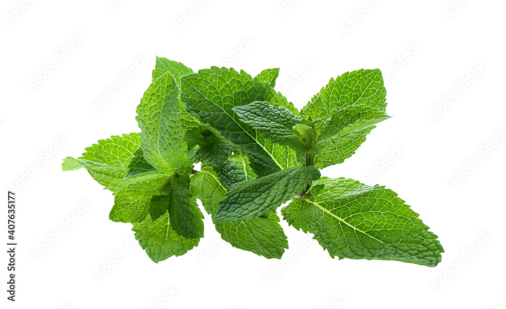 Fresh green mint leaves on white background Fresh green mint leaves on white background