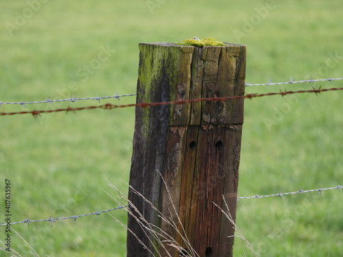 Stacheldrahtzaun an Holzpfeiler