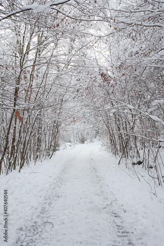 Wanderwege im Verschneiten Harz Wald 