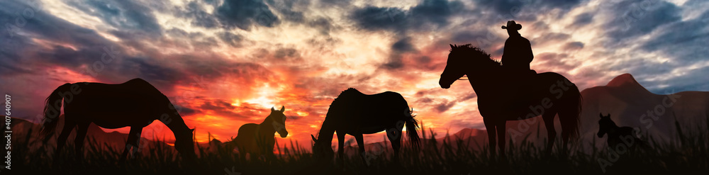 silhouette of a horse breeder cowboy at sunset