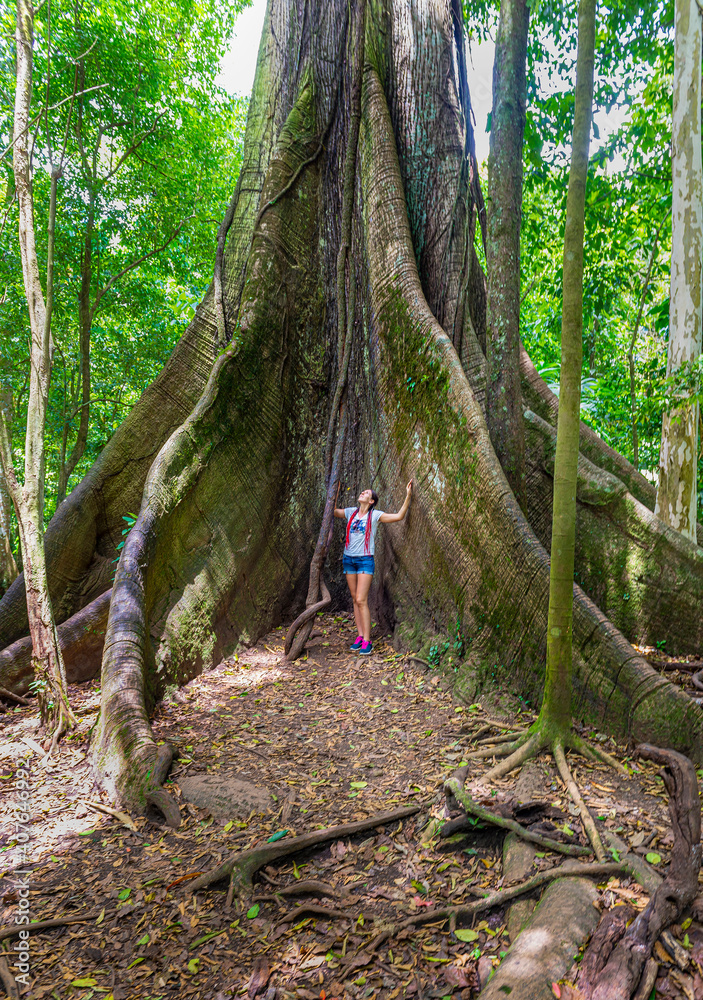 Obraz premium Young woman standing near old Kapok tree, with big roots in the jungle. Arenal Volcano National Park. Costa Rica, Central America.
