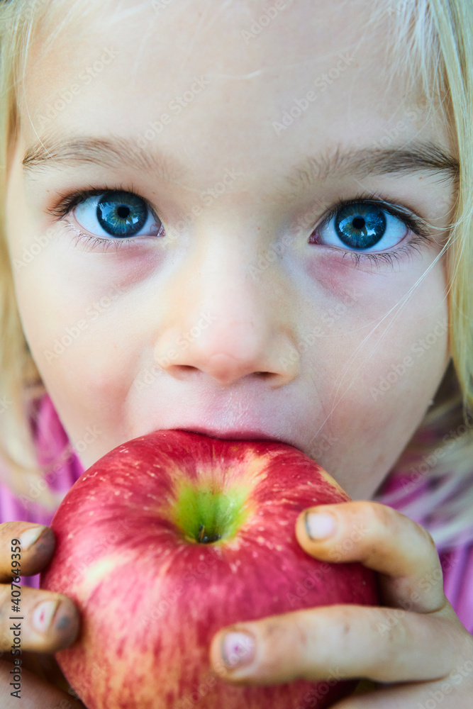 Child girl eating fresh apple after plucking from the tree. Closeup portrait Child girl eating fresh apple after plucking from the tree. Closeup portrait