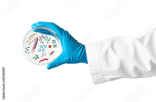 Scientist holding Petri dish with microbes on white background, closeup photo