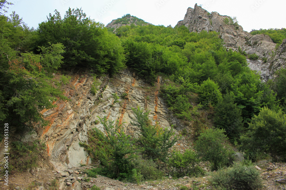 Beautiful rocks in the summer forest. Beautiful rocks in the summer forest.