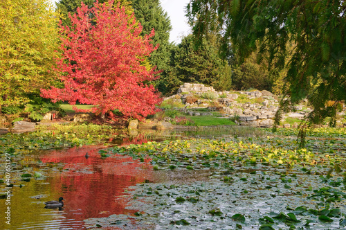 Duck pond in the English Garden photo