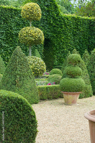 English boxwood garden