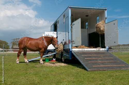 Horse truck and horse