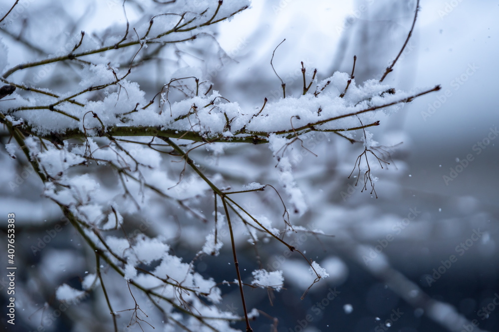 Obraz premium 降雪のイメージ 雪 冬のイメージ