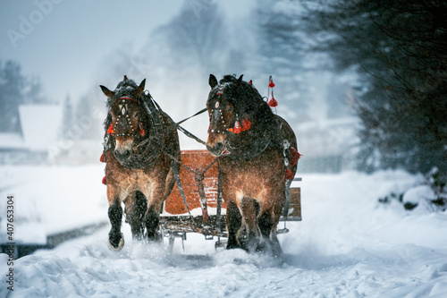 Fotografie Horse carriage with sled while snowy winter