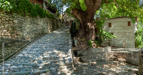 Fototapeta Naklejka Na Ścianę i Meble -  Makrinitsa village, a beautiful, picturesque village in Pelion mountain (Pilio), known for its stone architecture and traditional houses, in Thessaly region, Greece, Europe