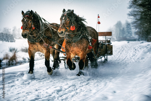 Horse carriage with sled while snowy winter photo
