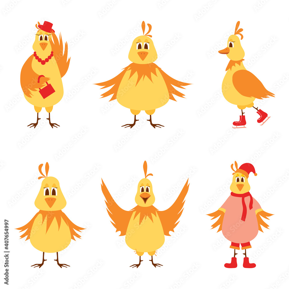 Fototapeta premium Illustration of six laying hens on a white background. Vector illustration