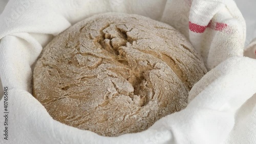 Female hands get the dough out of the proofer for making rye bread. Bread made from barley malt, flour, salt. Zemgale bread with dried fruits. photo