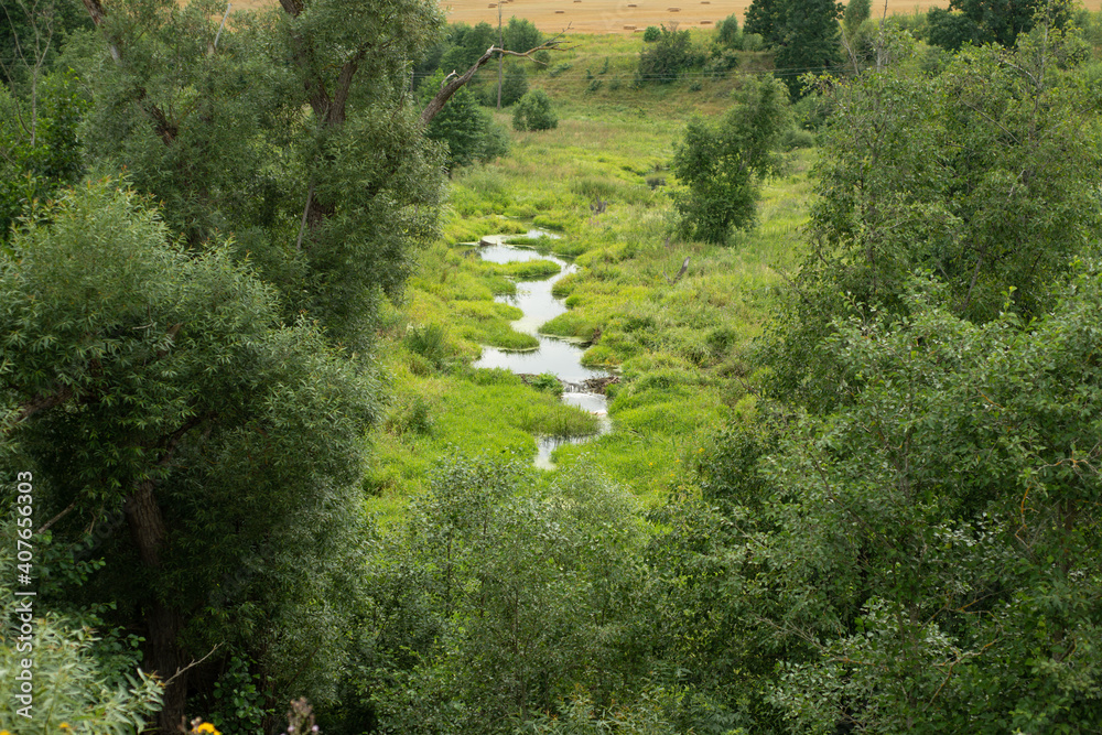 a drying little river among green trees
