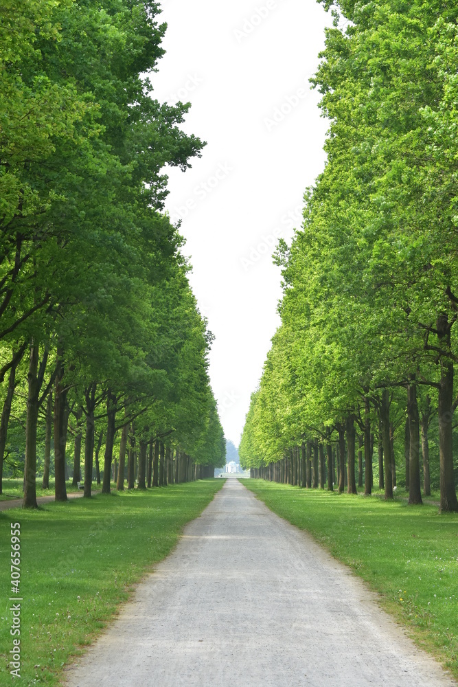 Naturfotografie in Kassel