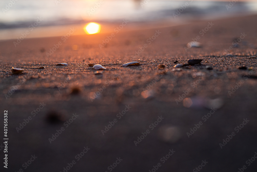 Strand Sonnenuntergang close up Muscheln Strand Sonnenuntergang close up Muscheln