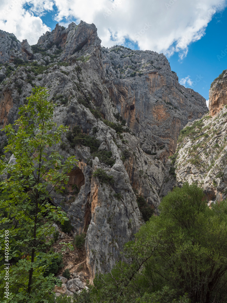 Limestone rock face of Gola Su Gorropu gorge with green bush and trees. Famous tourist hiking destination at Supramonte Mountains, Nuoro, Sardinia, Italy. Summer