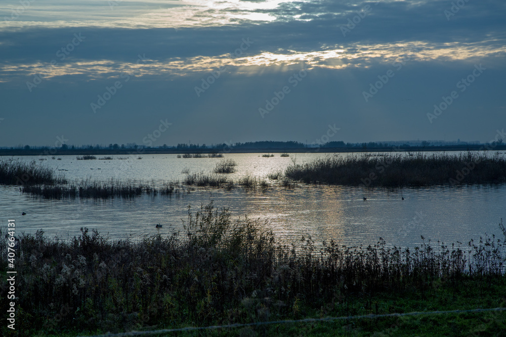 landscape, nature, sky, tree, water, morning, fog, lake, river,