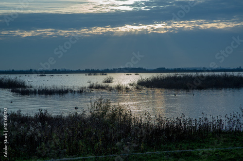 landscape  nature  sky  tree  water  morning  fog  lake  river 