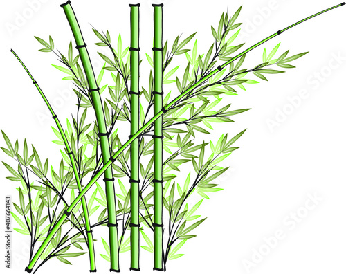 vector design bamboo icon background