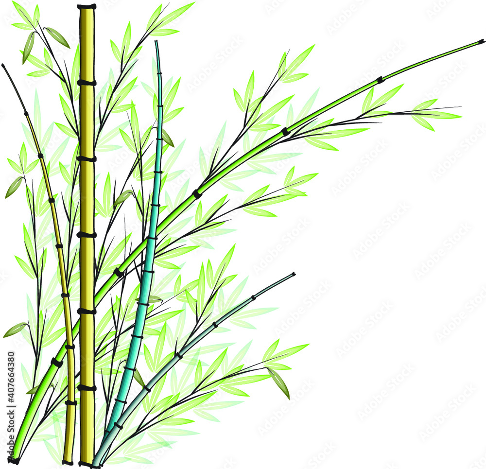 Fototapeta premium vector design bamboo icon background