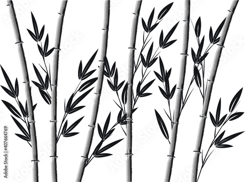 vector design bamboo icon background