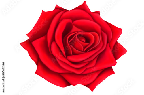 Illustration of a red rose on a white background. Make a Declaration of love. The concept of the Valentine s Day theme.