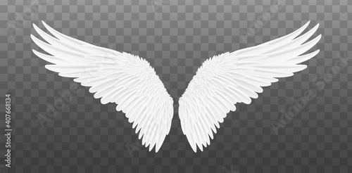 White realistic wings. Pair of white isolated angel style wings with feathers. Vector illustration bird wings design