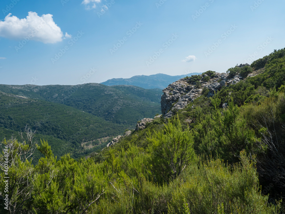 Overview of the National Park of Barbagia with limestone rocks and green forest hill, mountain. Central Sardinia, Italy, summer day