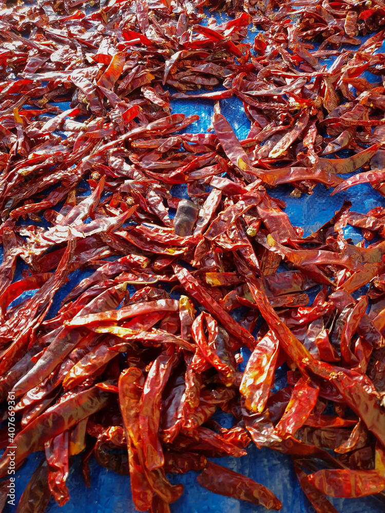 Red chili dry in the sun Many combined addresses