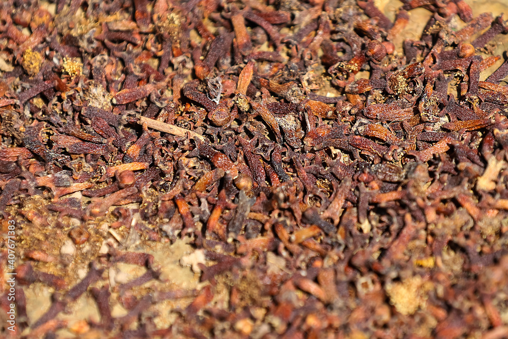 close up of dry Clove spice close up of dry Clove spice
