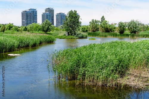 Summer landscape with clear water in lake, trees and birds in Delta Vacaresti in Bucharest, Romania, wild nature in a beautiful sunny spring day.