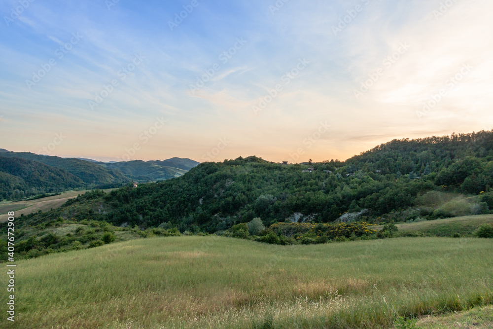 hills of green grass at sunset with blue sky and few clouds