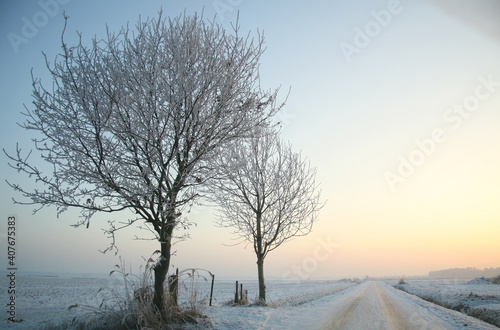 winter, snow, tree, landscape, cold, sky, nature, trees, frost, white, blue, season, ice, forest, field, sunset, frozen, christmas, sun, road, snowy, park, wood © Barbara