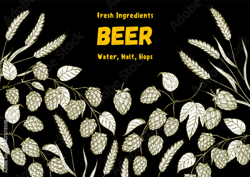 Brewery design template. Beer hop illustration. Hand drawn sketch design. Beer ingredients vector illustration.