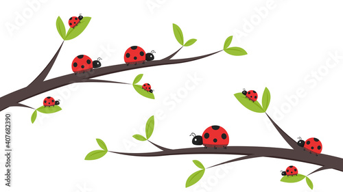 Ladybug vector. ladybug on white background. wallpaper. tree stick vector. Ladybug insects on the branches. 
