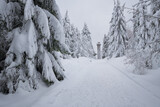Ein schneebedeckter Wanderweg führt durch eine Winterlandschaft zum Hohlohturm bei Kaltenbronn im Schwarzwald