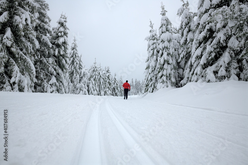 Ein Langläufer auf einem präparierten Trail in einem idyllischen Winterwald