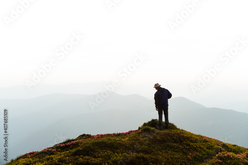 A tourist stay on the edge of a cliff covered with a pink carpet of rhododendron flowers in the summer. Foggy mountains on the background. Landscape photography