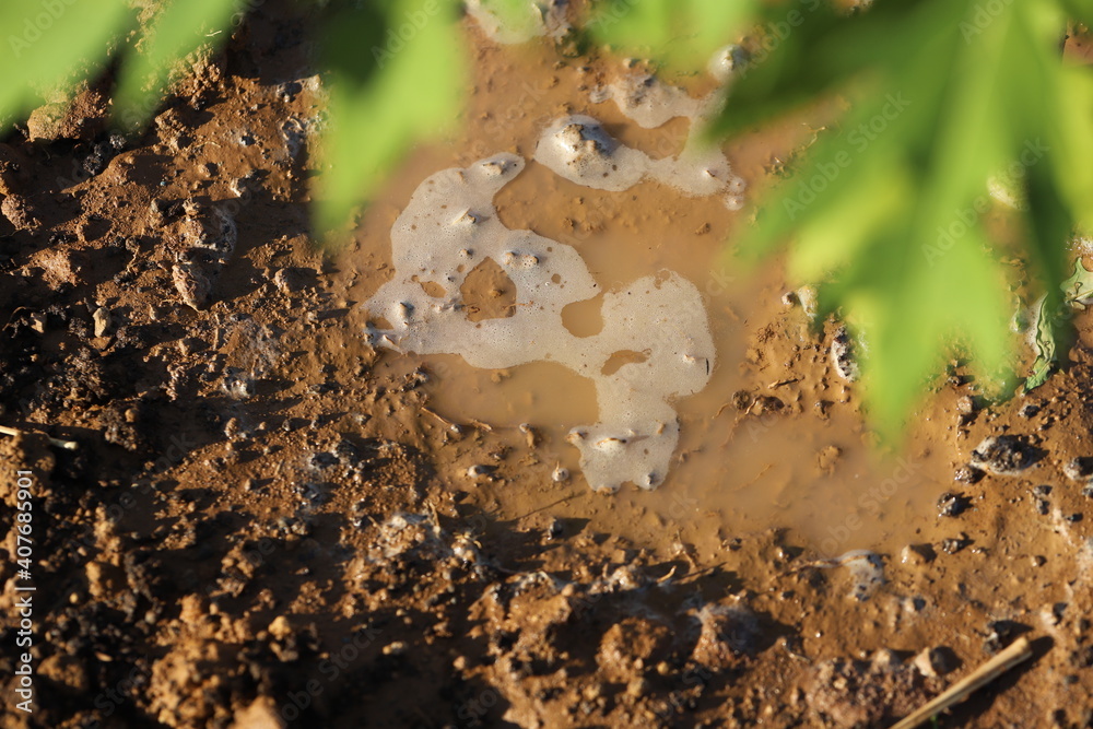 Obraz premium The ground , thailand ,