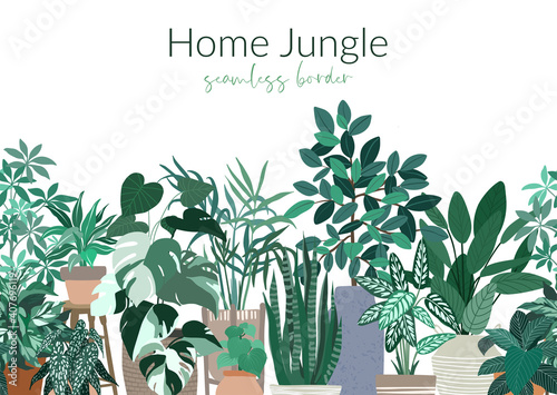 Tropical home plants in pots, seamless border